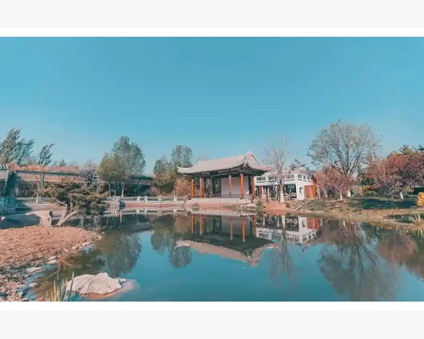 吃撑了胃疼吃什么药好用？