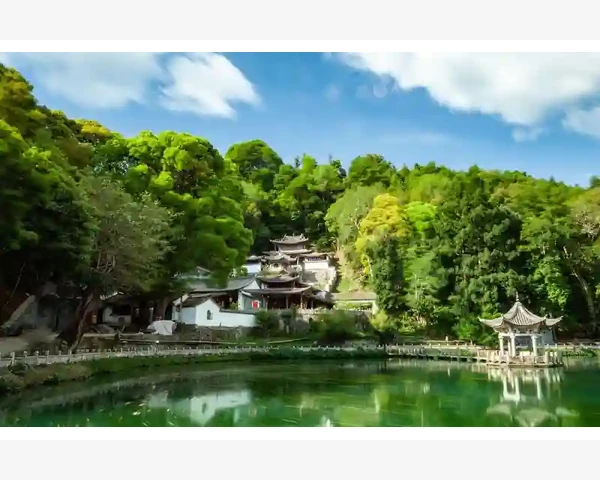 儿童脾胃健康：从小养成，受益一生